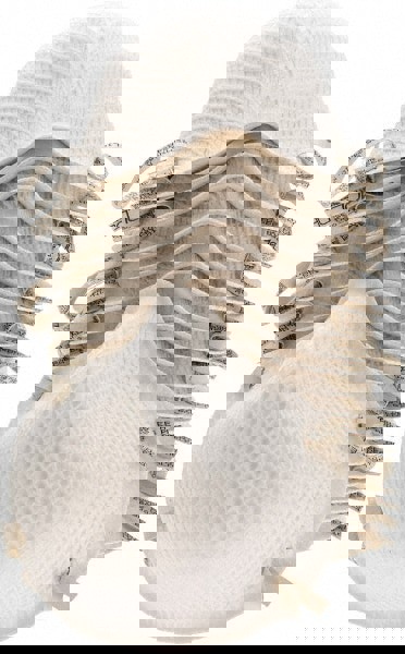 Disposable Particulate Respirator: Size Small